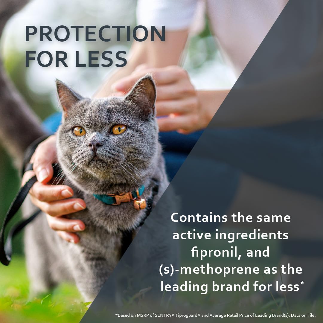 Flea & Tick Cats 1.5 lbs+ Fipronil 6-Month X835507