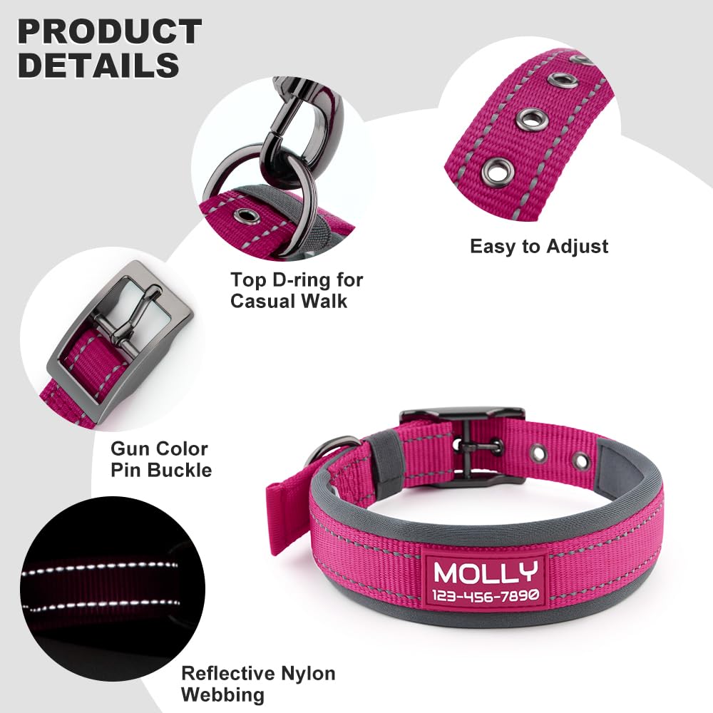 Personalized Dog Collar with Name and Number G49830