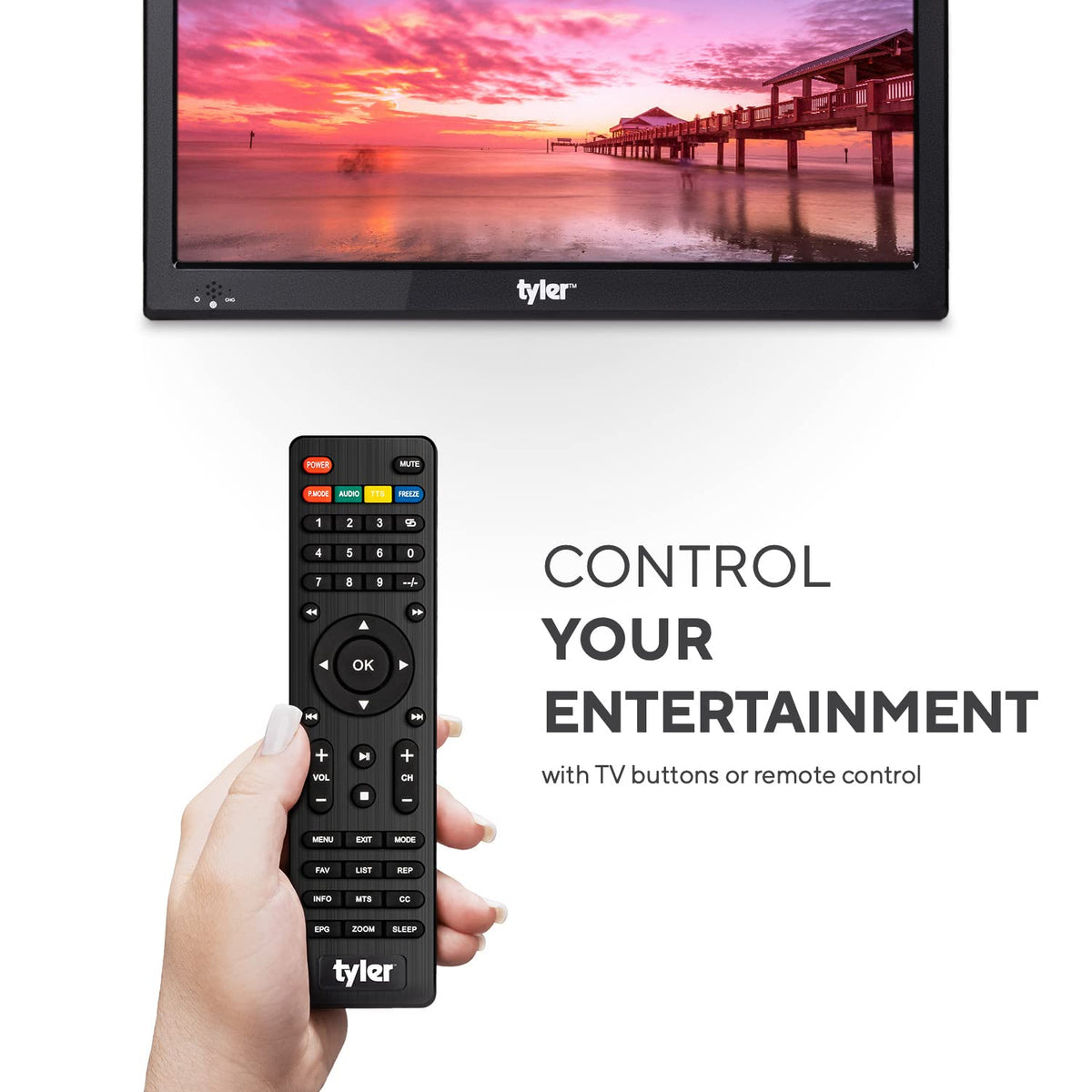 Portable TV LCD Monitor Battery Powered Wireless Capability HD-TV A312