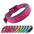Personalized Dog Collar with Name and Number G49830