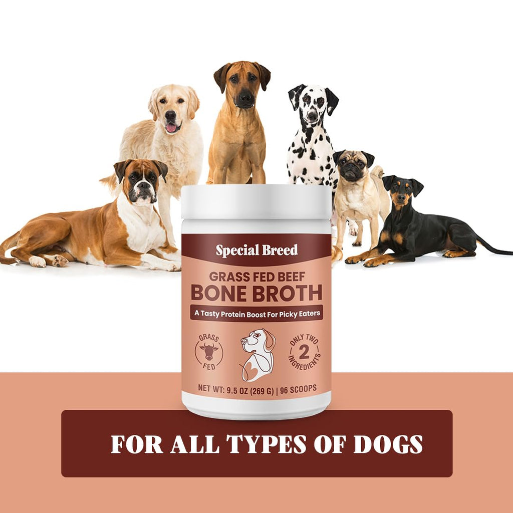 Grass Fed Beef Bone Broth Powder for Dogs and Cats 9.5oz G5554