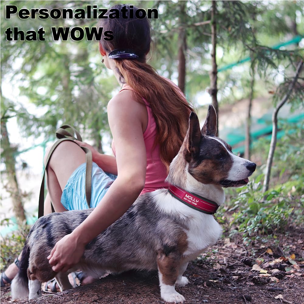 Personalized Dog Collar with Name and Number G49830
