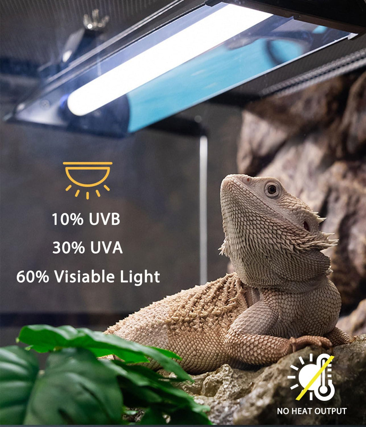 8W 12 Inch Switchable 10.0 & 5.0 UVB Reptile Light Fixture Combo Kit B185103
