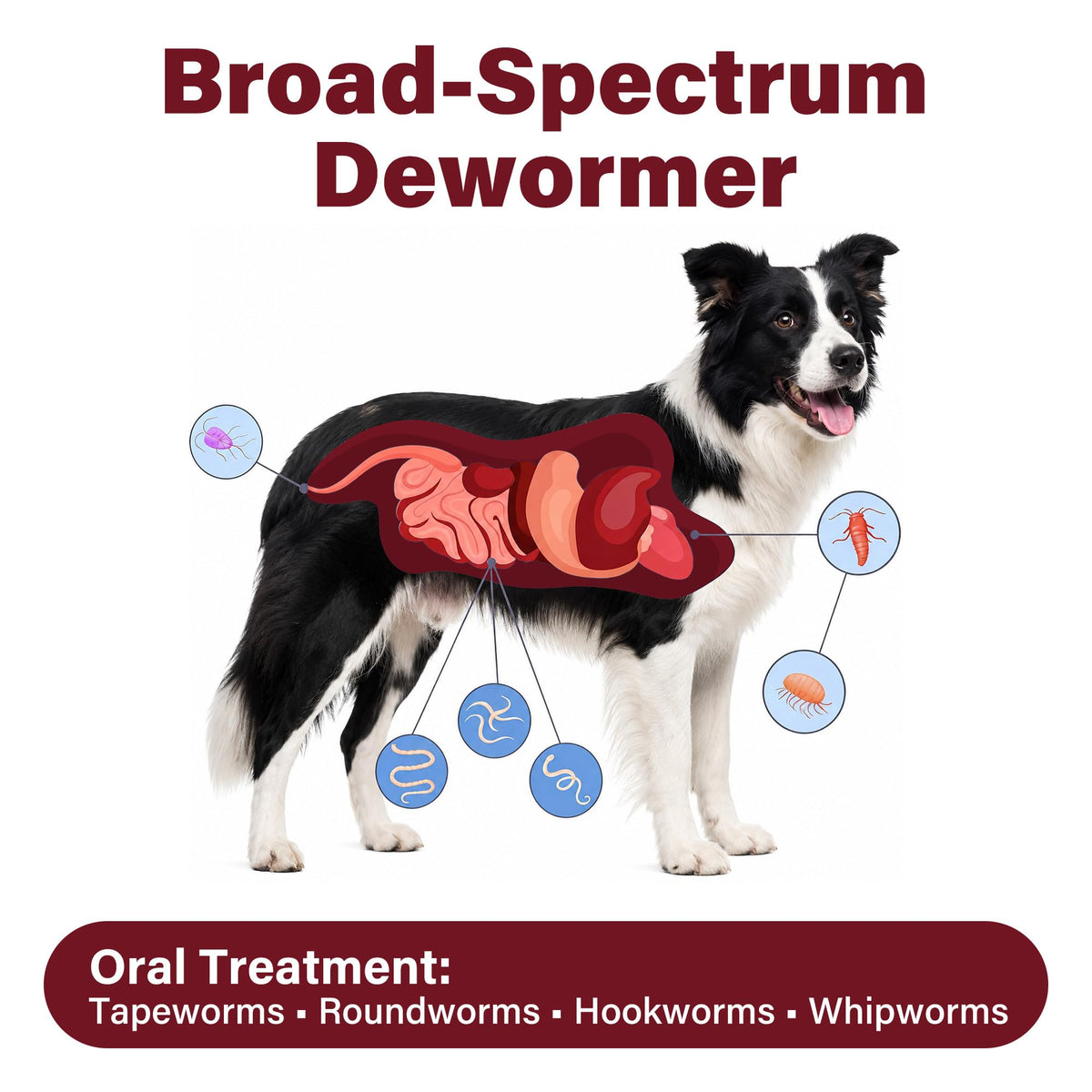 Dog Dewormer 30 Tablets Beef Flavor R3619