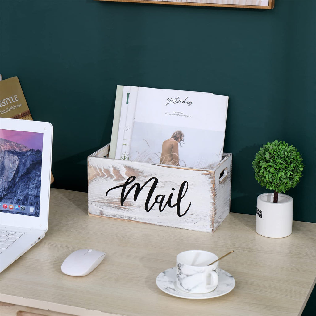 White Mail Organizer B29099