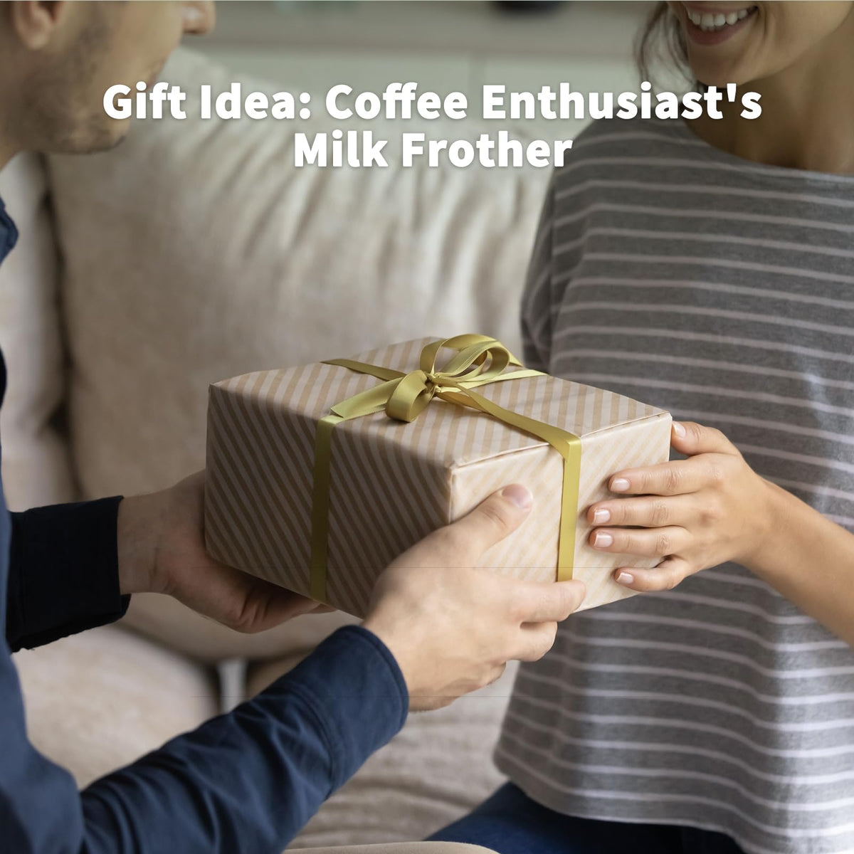 Milk Frother and Steamer 21oz/600mL L7047