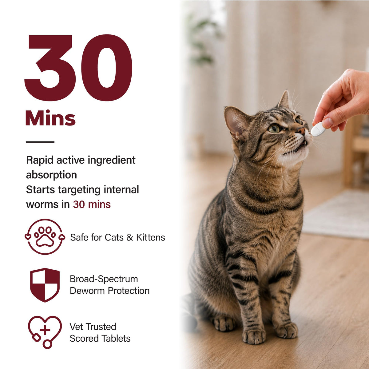 Cat Dewormer, Beef Flavor, 30 Tablets F50176