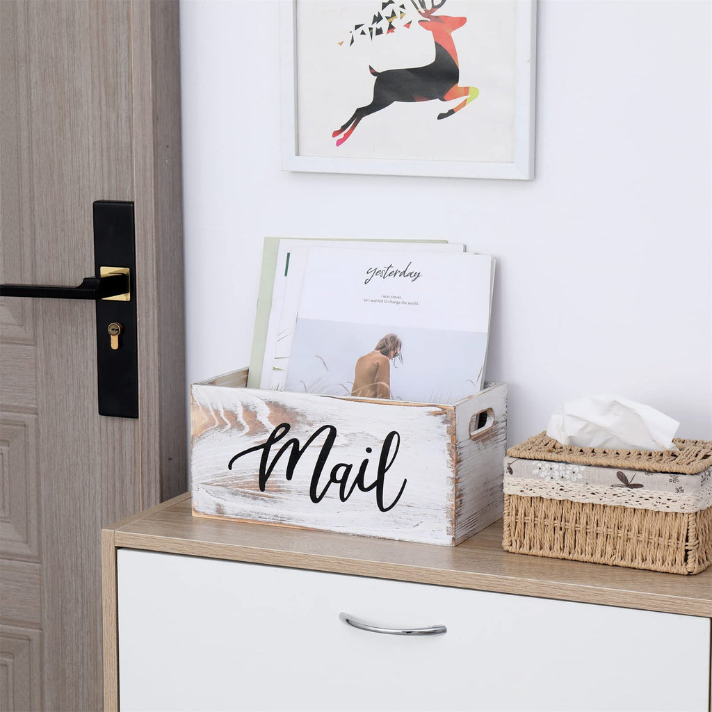 White Mail Organizer B29099
