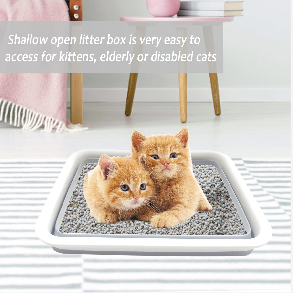 Collapsible Low Entry Small Cat Litter Box L65442