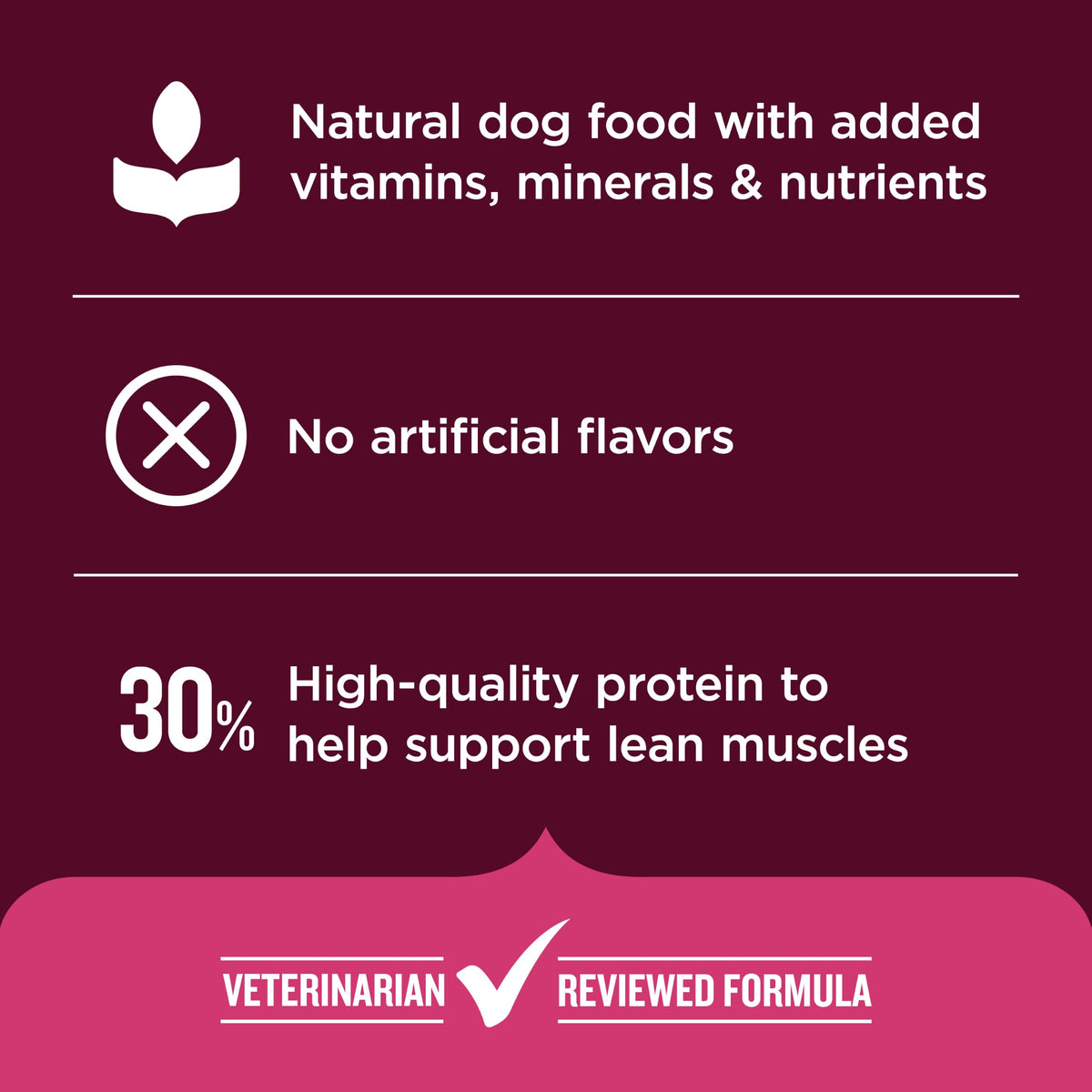 High Protein Dry Dog Food 4 lb. Bag A448