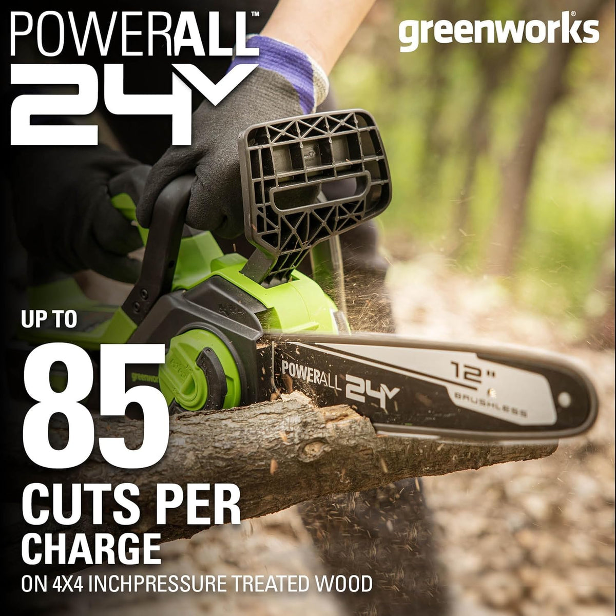 24V 12 in Cordless Electric Chainsaw L93920