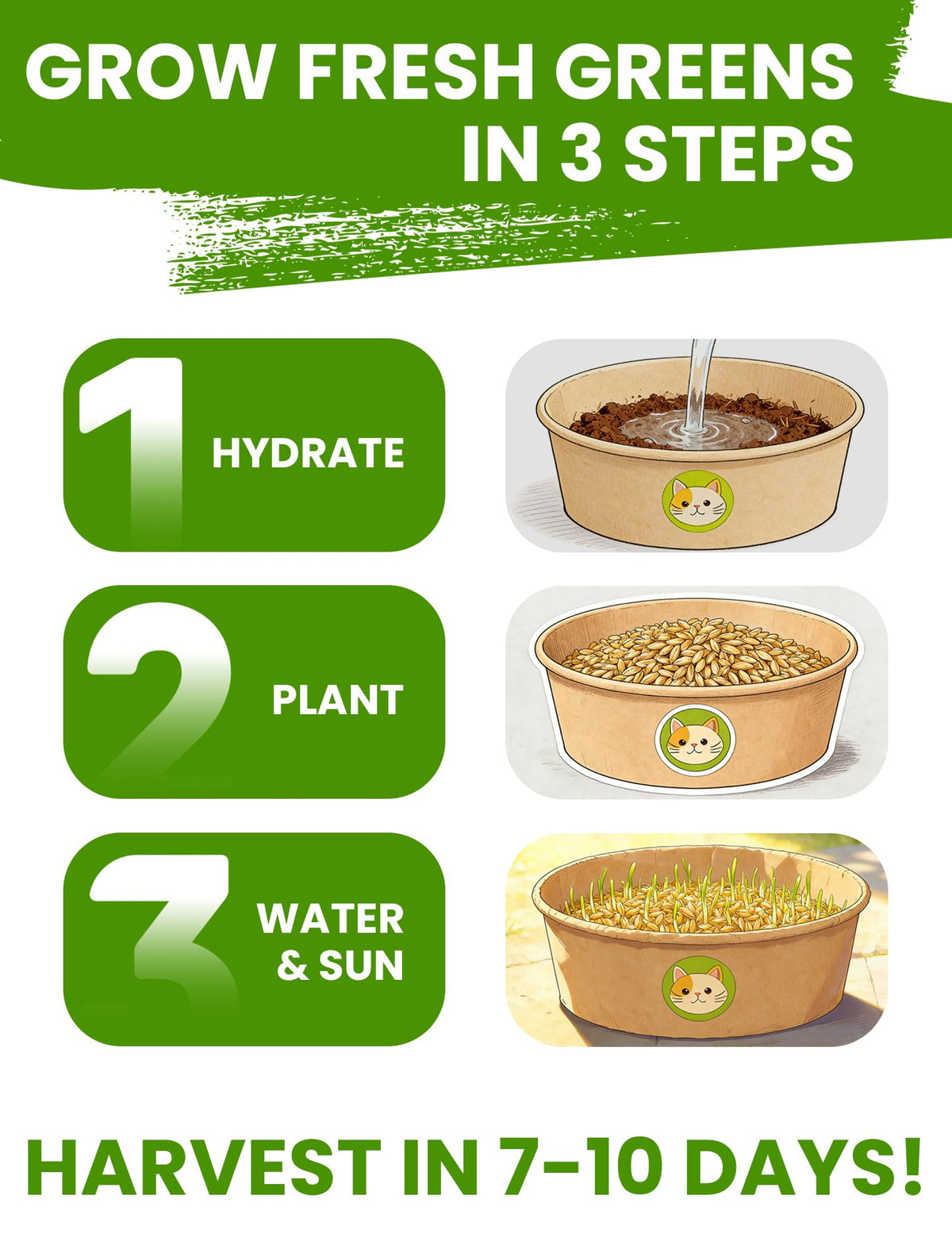 3 Pack Cat Grass Kit with Biodegradable Pots, Soil & Seeds C3327