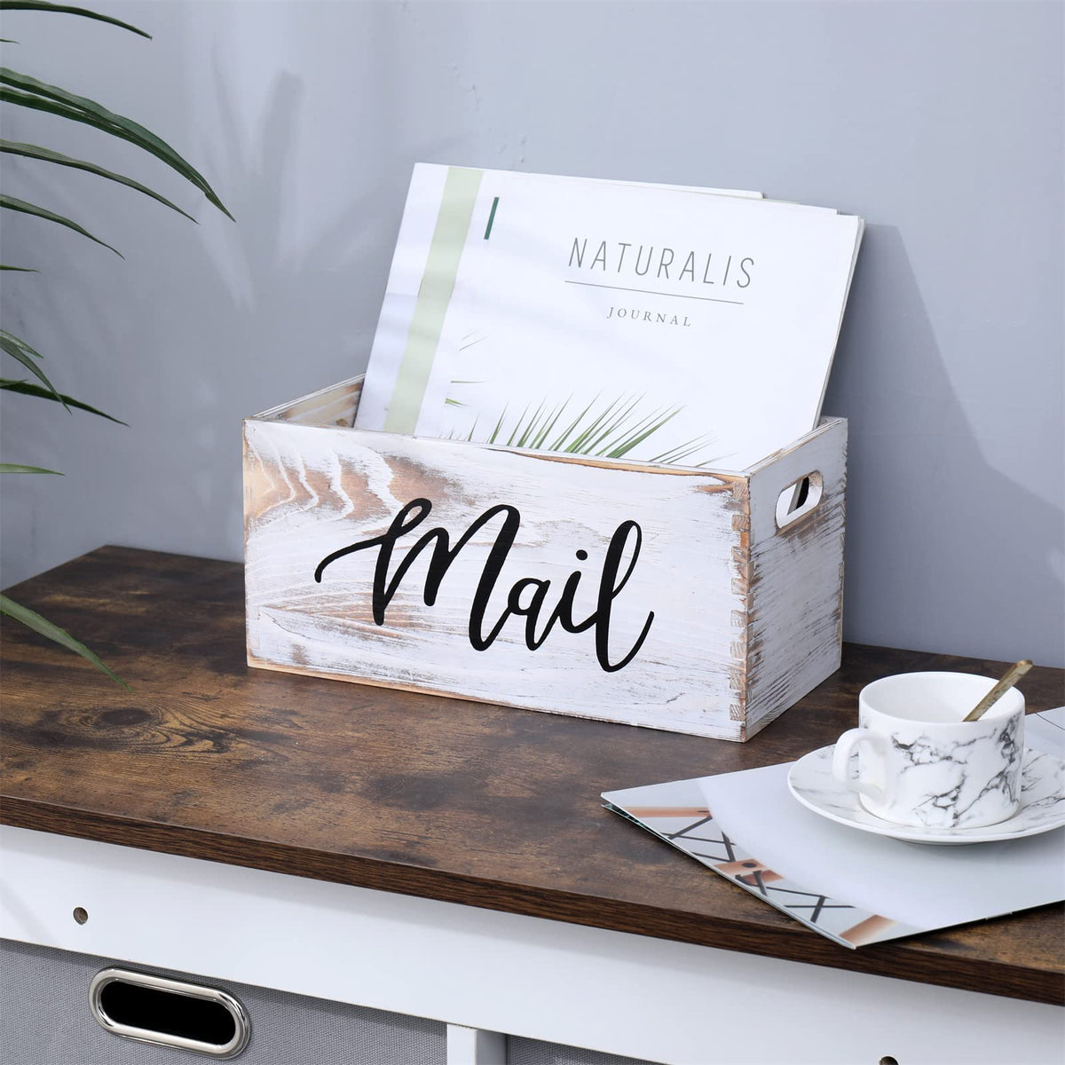 White Mail Organizer B29099