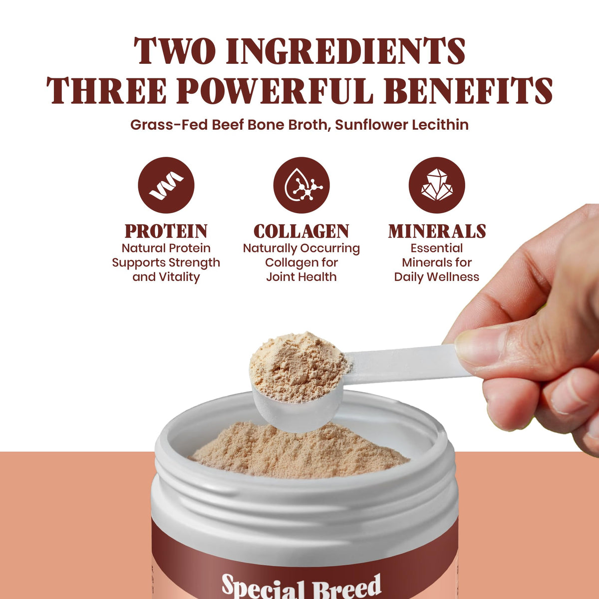 Grass Fed Beef Bone Broth Powder for Dogs and Cats 9.5oz G5554
