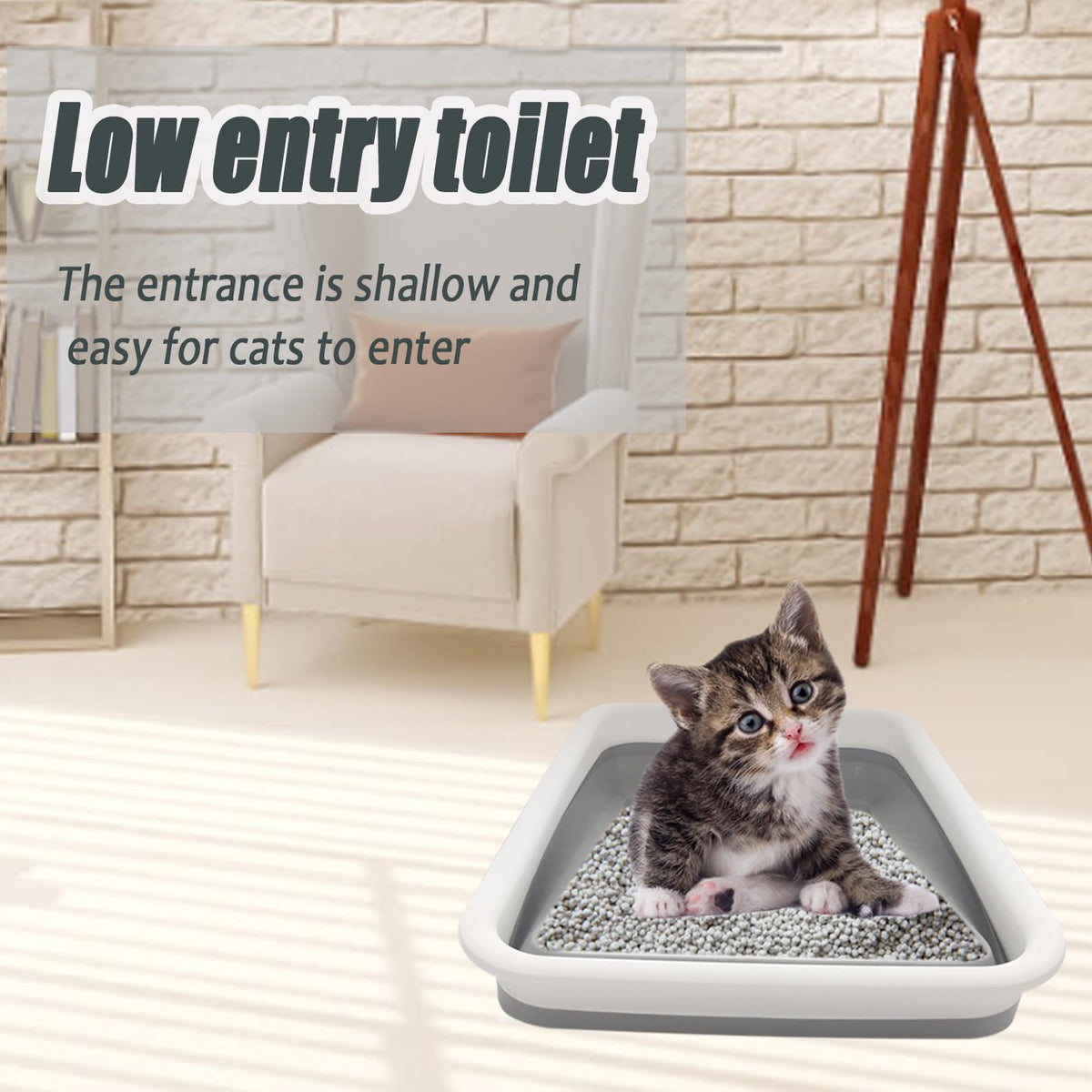 Collapsible Low Entry Small Cat Litter Box L65442