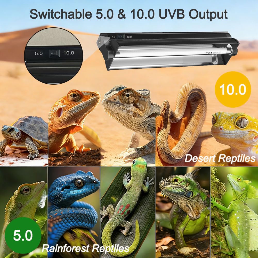 8W 12 Inch Switchable 10.0 & 5.0 UVB Reptile Light Fixture Combo Kit B185103