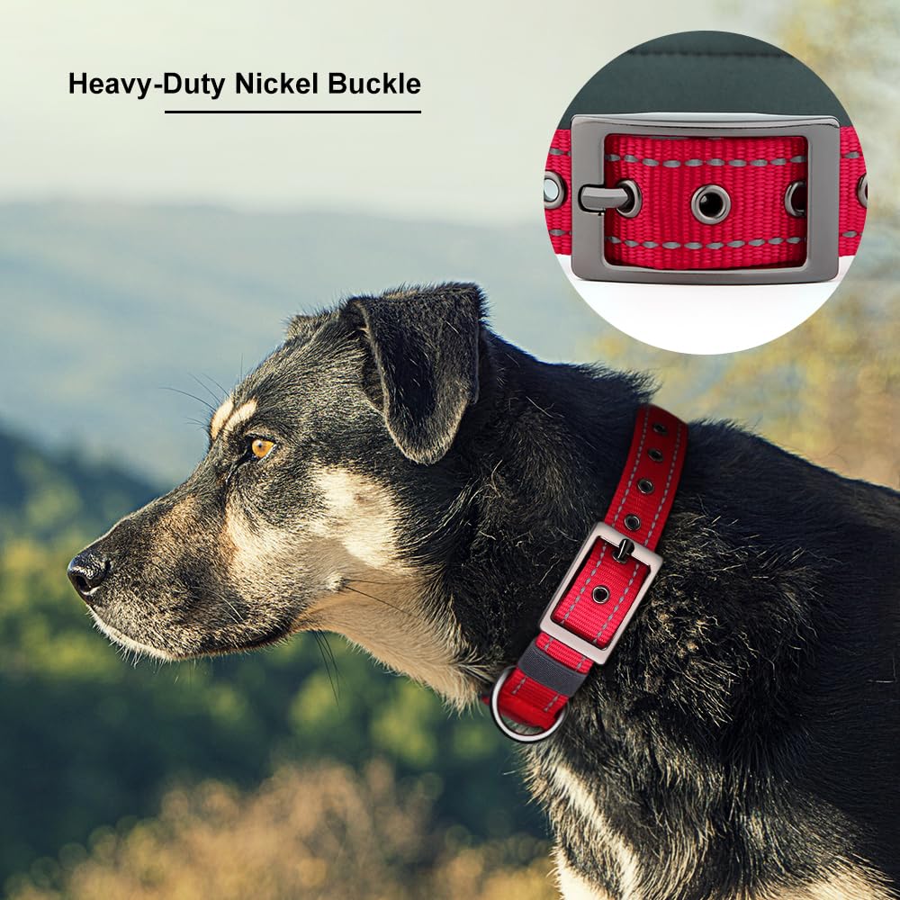 Personalized Dog Collar with Name and Number G49830
