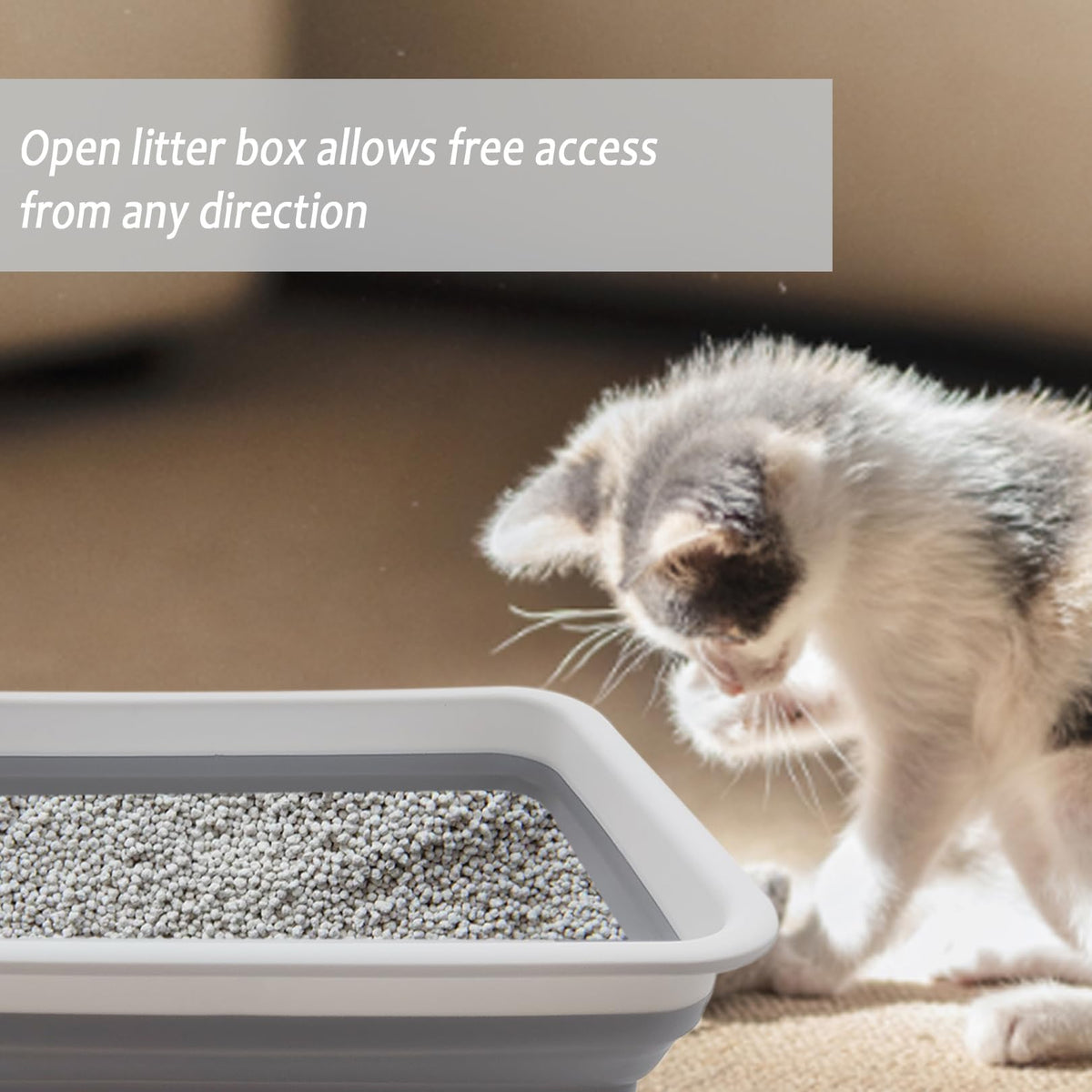 Collapsible Low Entry Small Cat Litter Box L65442
