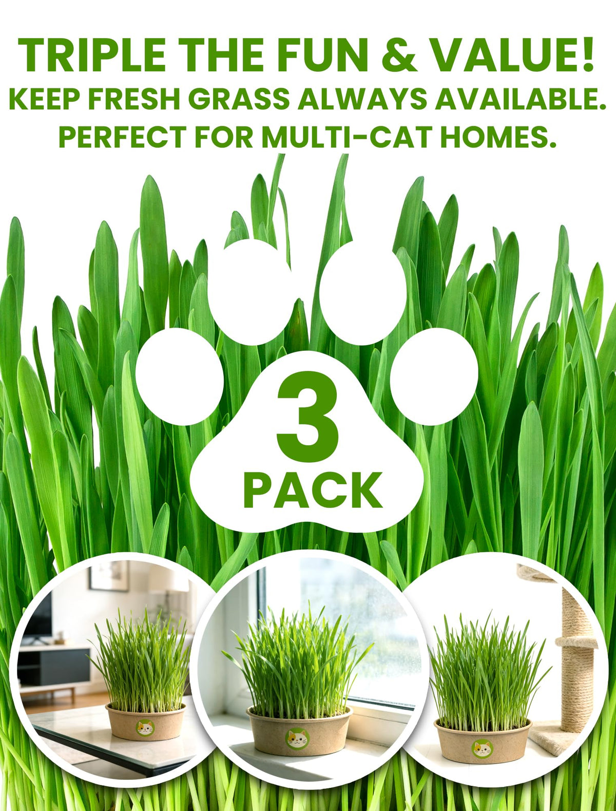 3 Pack Cat Grass Kit with Biodegradable Pots, Soil & Seeds C3327