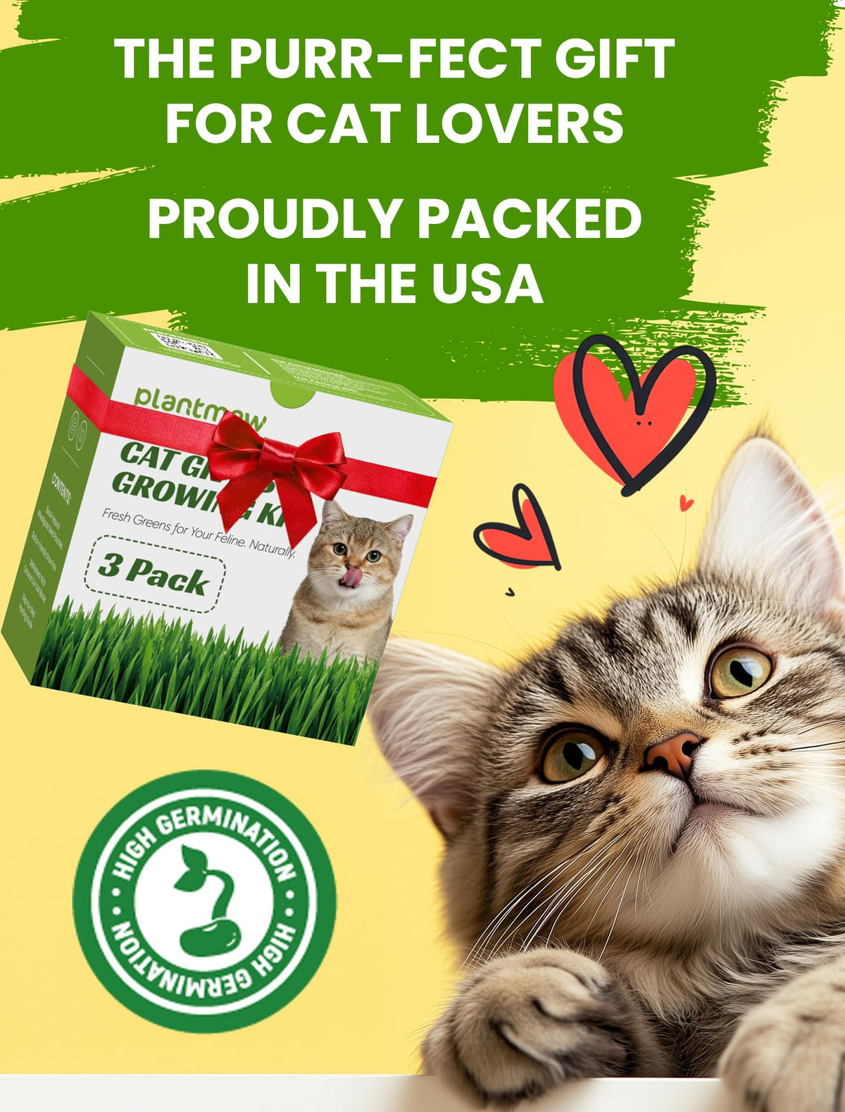 3 Pack Cat Grass Kit with Biodegradable Pots, Soil & Seeds C3327