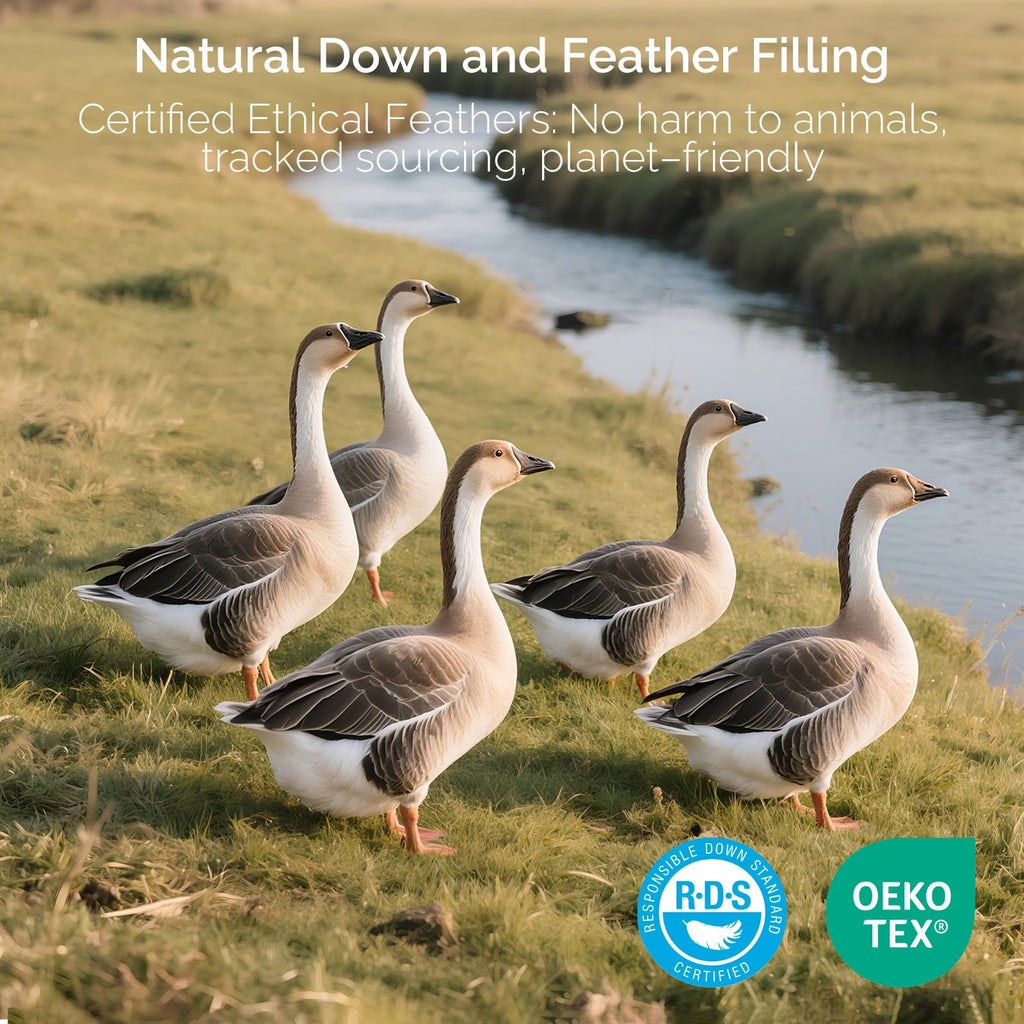 Goose Feather and Down King Size Pillows Set of 2 A347479