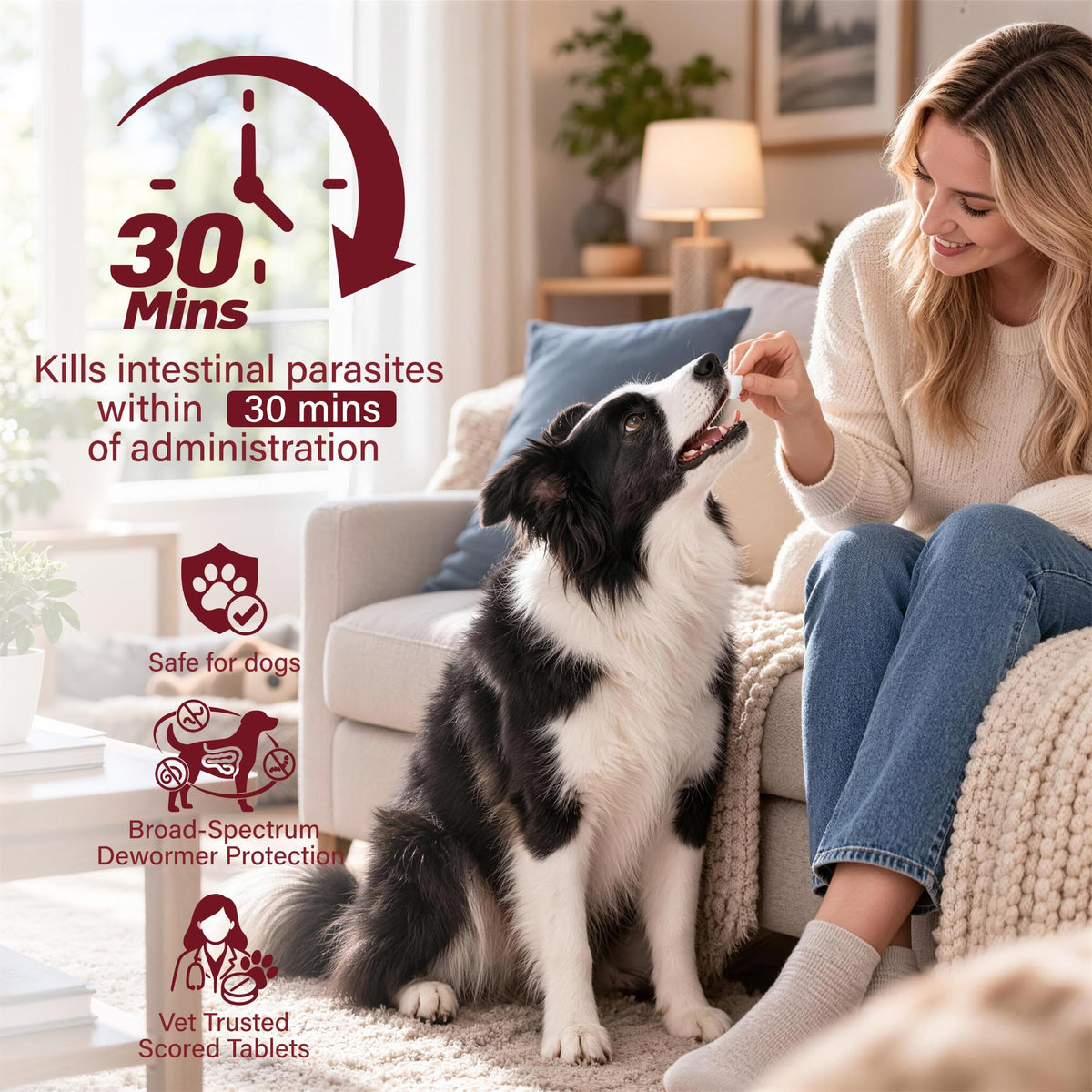 Dog Dewormer 30 Tablets Beef Flavor R3619