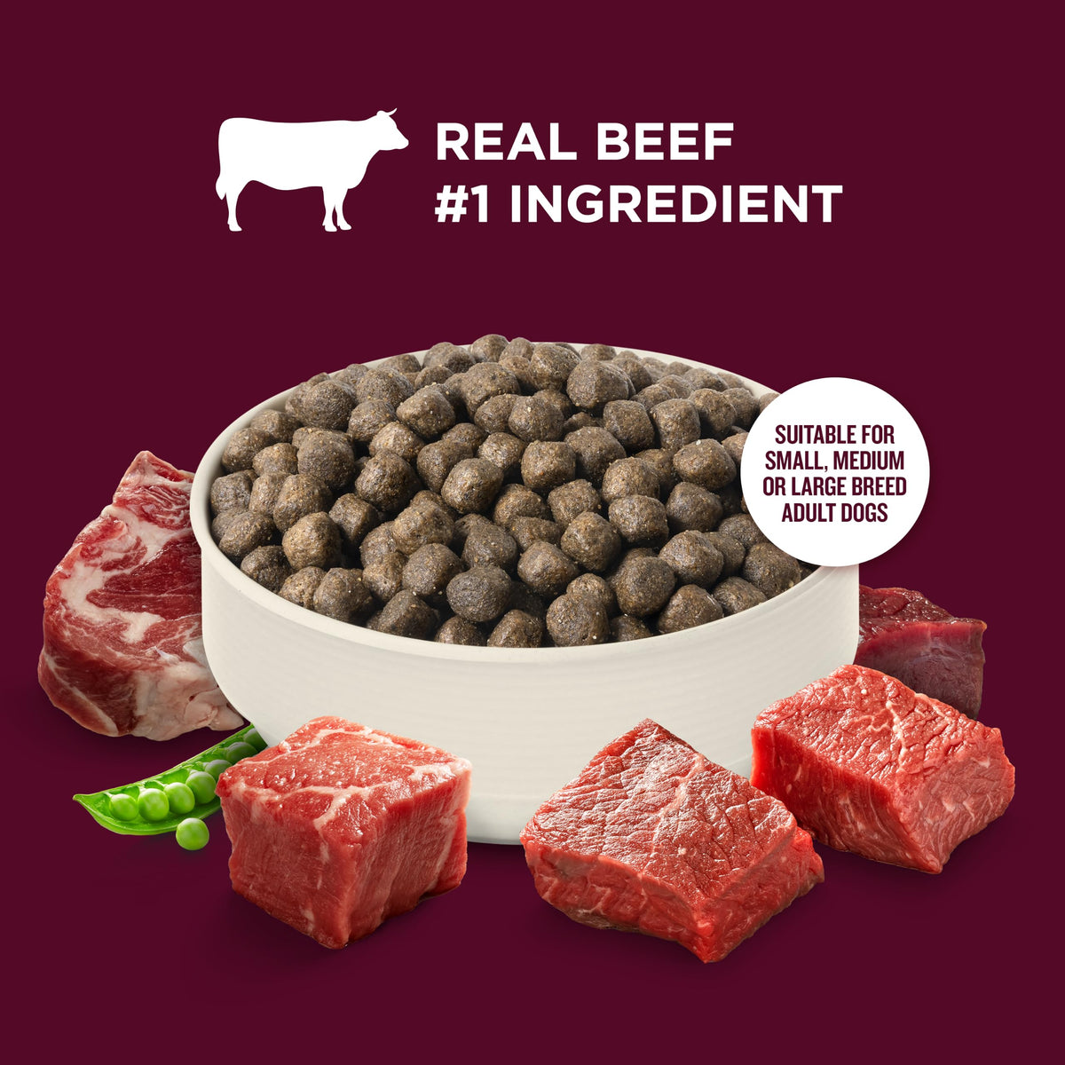 High Protein Dry Dog Food 4 lb. Bag A448