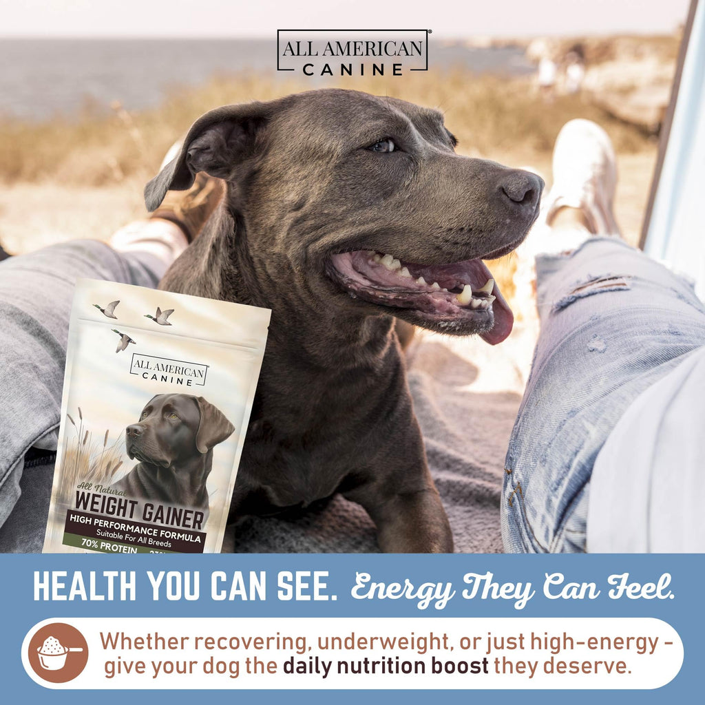 High Calorie Dog Weight Gainer Powder 60 Servings J995