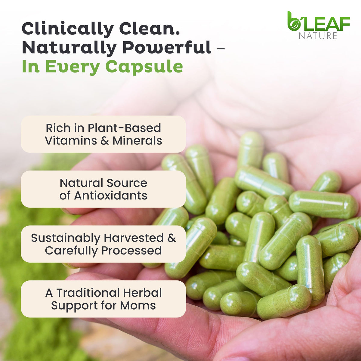 Moringa Leaf Vegan Capsules 1000mg 180 Count E961
