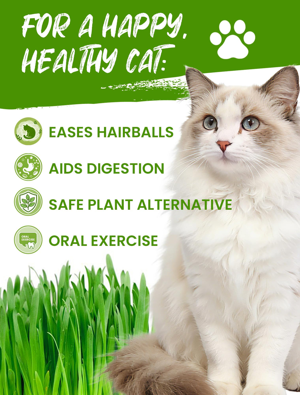 3 Pack Cat Grass Kit with Biodegradable Pots, Soil & Seeds C3327