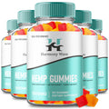 Hemp Gummies 5 Pack J2929