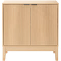 2-Door Storage Cabinet with Adjustable Shelves R116