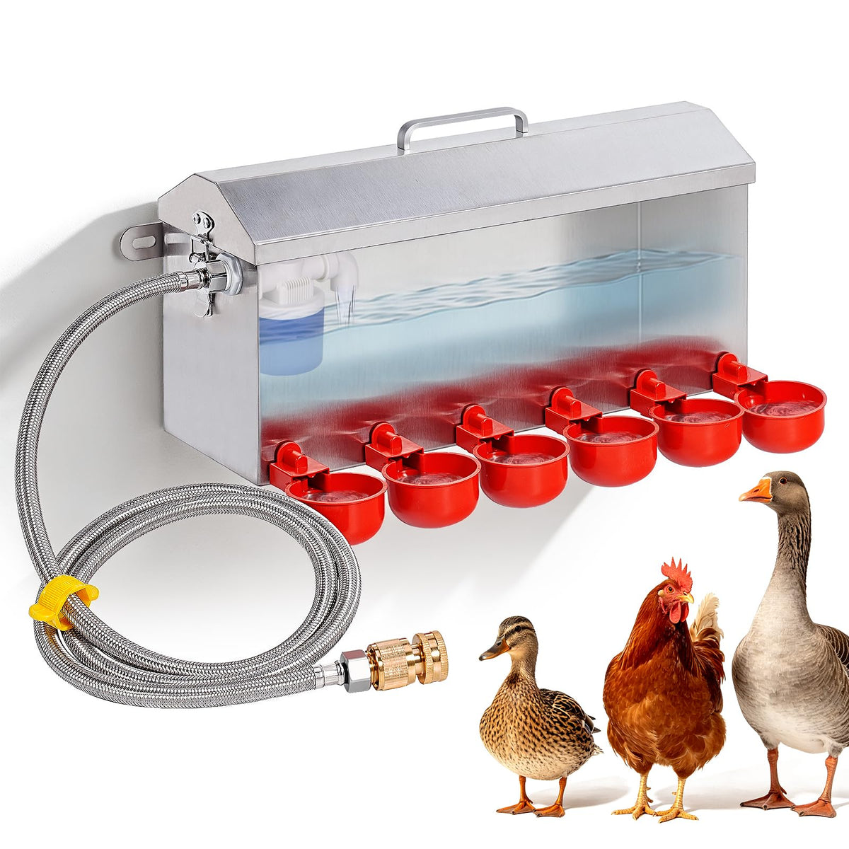 1.5 Gallon Metal Automatic Chicken Waterer T22813