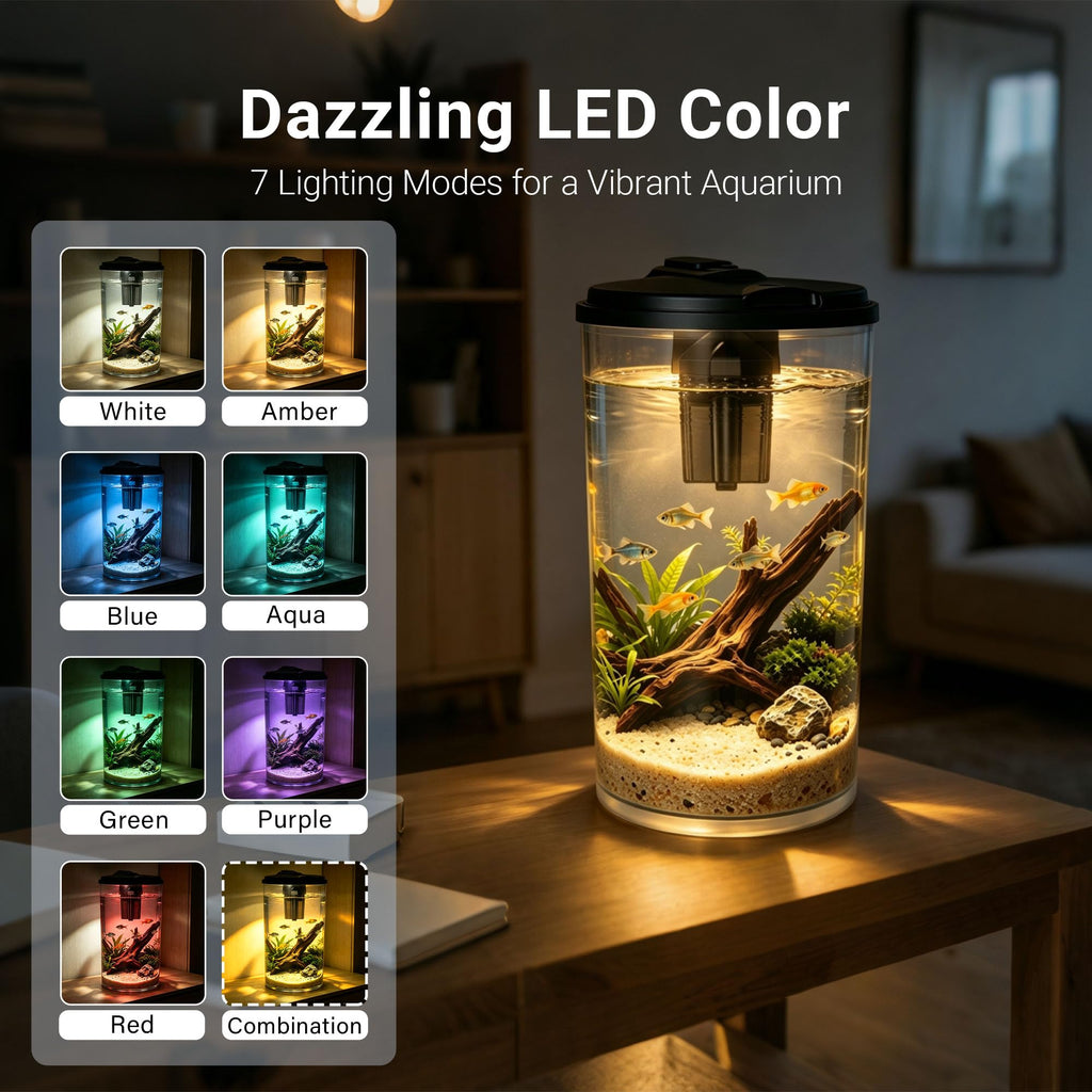 6-Gallon Aquarium Kit with LED Lighting and Power Filter D27990