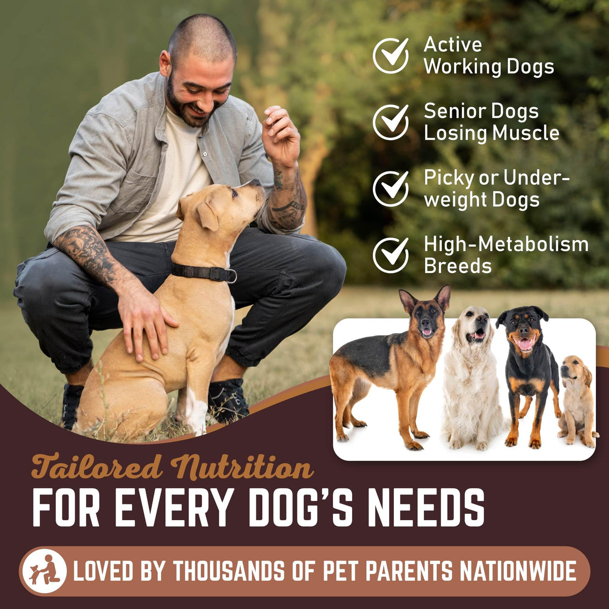 High Calorie Dog Weight Gainer Powder 60 Servings J995