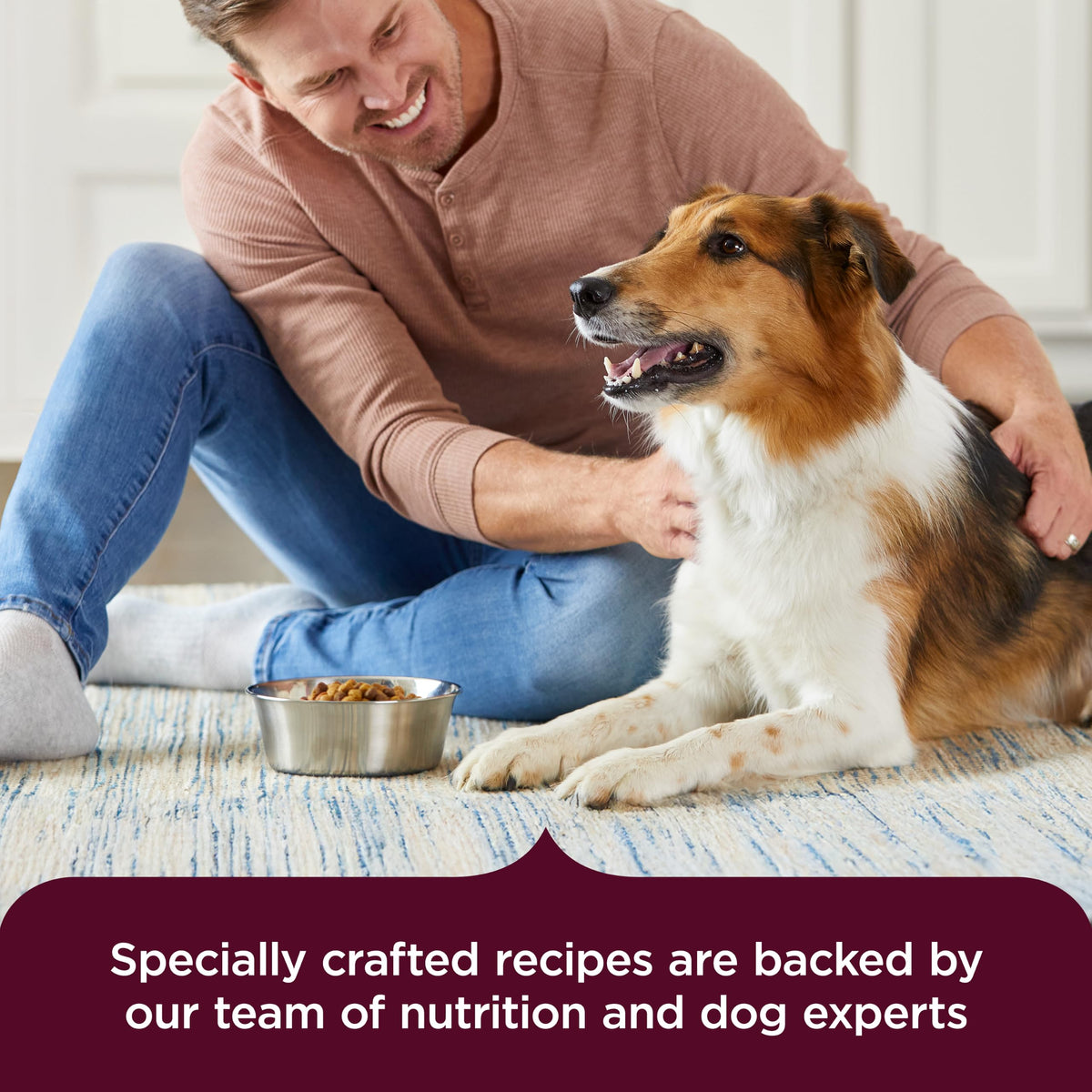 High Protein Dry Dog Food 4 lb. Bag A448