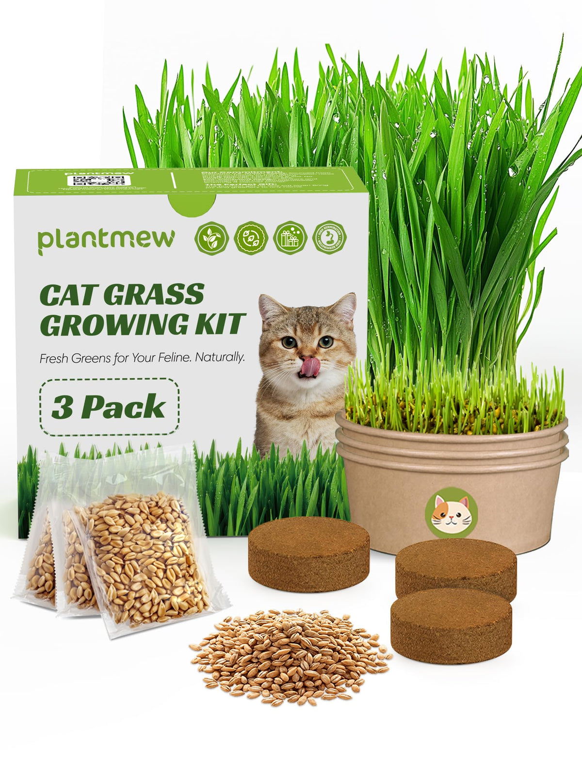 3 Pack Cat Grass Kit with Biodegradable Pots, Soil & Seeds C3327